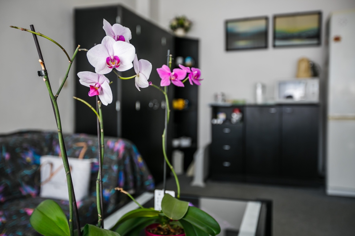 Čakáreň ambulancie všeobecného lekára FANMED v Košiciach - moderné priestory